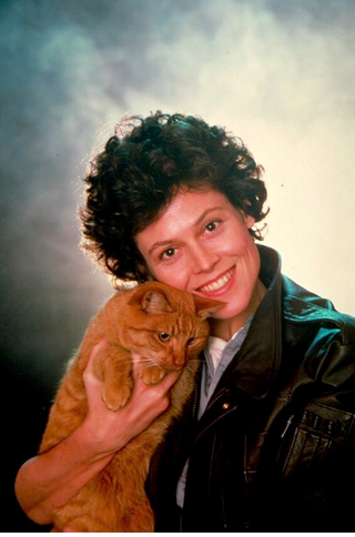 Illustration for article titled These images of Sigourney Weaver and the Alien cat will make your heart burst out of your chest